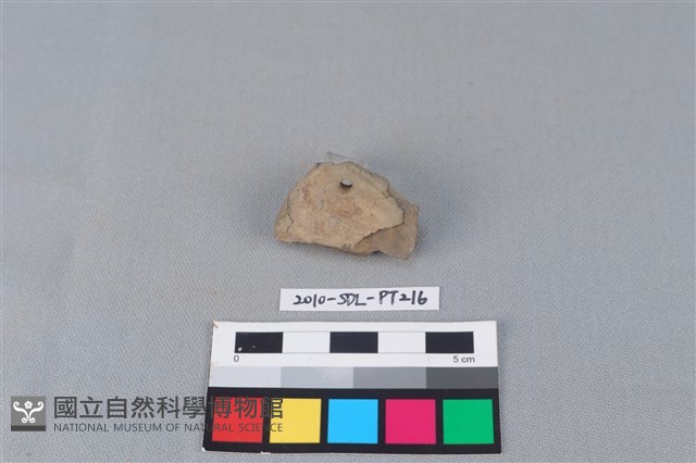 陶片藏品圖，第2張