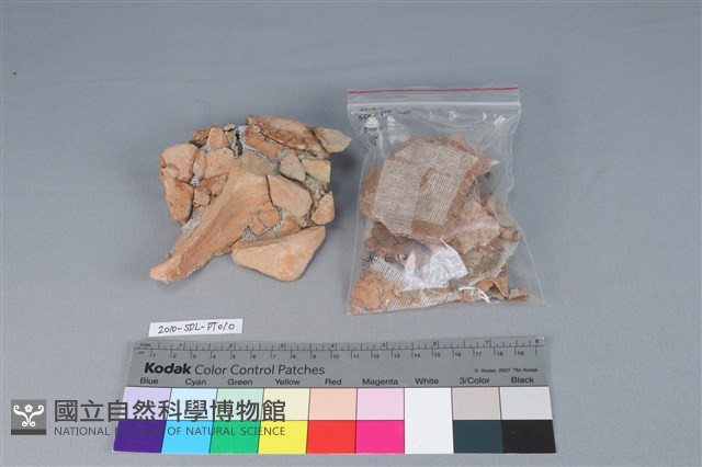 連杯形器藏品圖，第2張