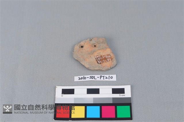 陶片藏品圖，第2張