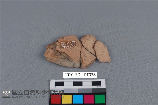 連杯形器藏品圖，第2張