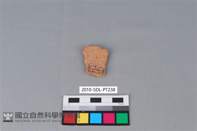 陶片藏品圖，第2張