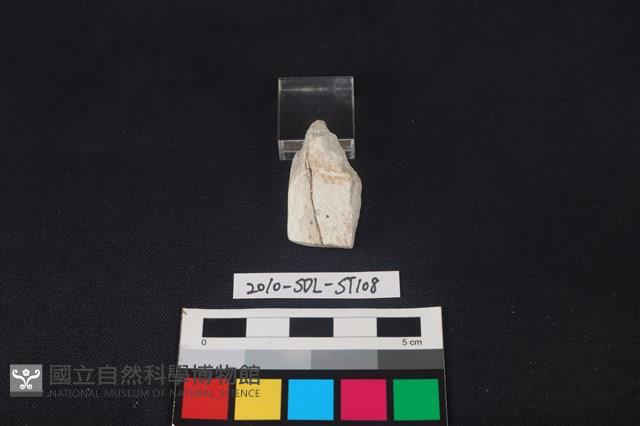 錛鑿形器藏品圖，第2張