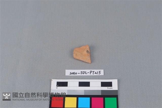 陶片藏品圖，第2張