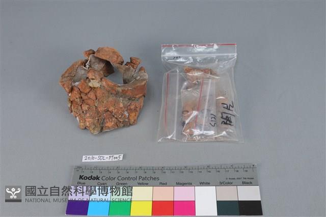 連杯形器藏品圖，第2張