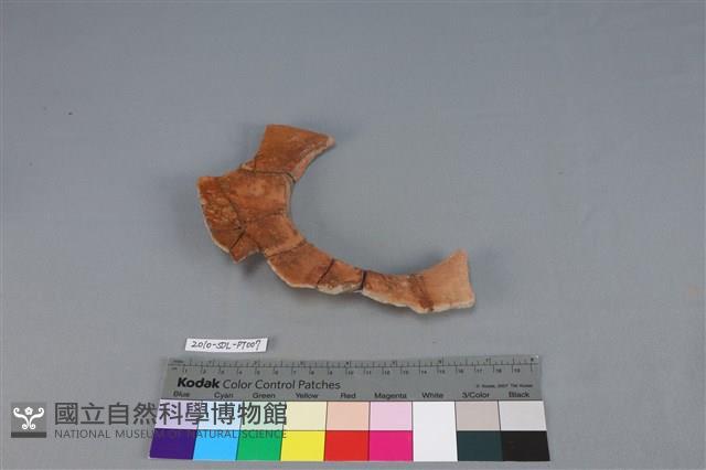 連杯形器藏品圖，第2張