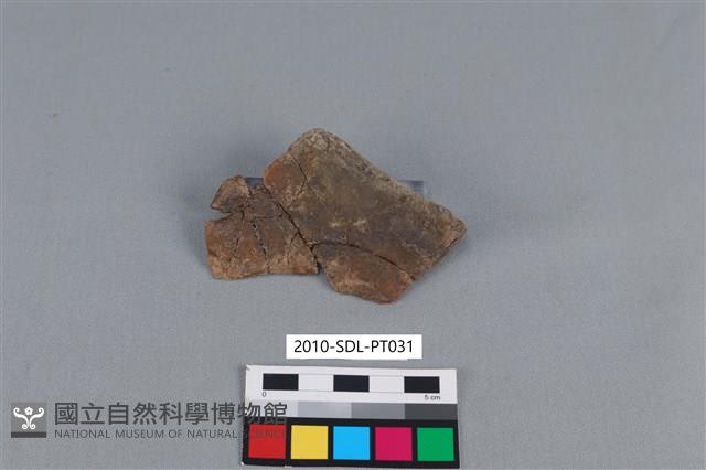 連杯形器藏品圖，第2張