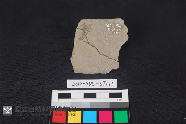 石刀藏品圖，第2張