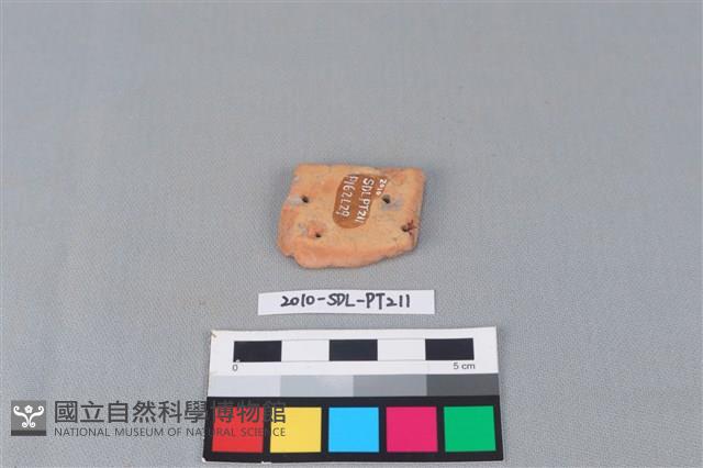 陶片藏品圖，第2張