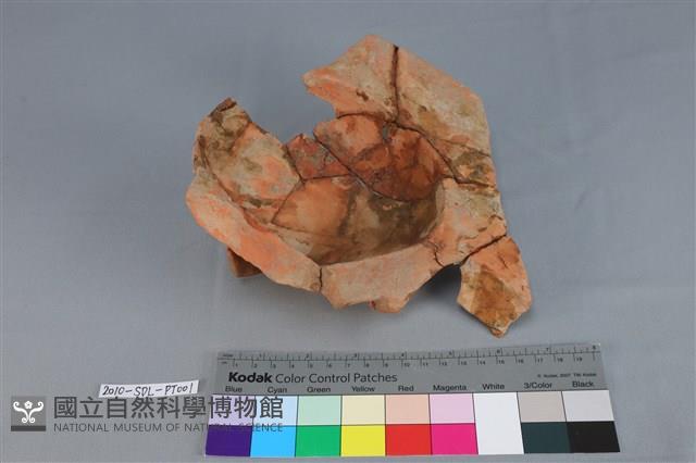 連杯形器藏品圖，第2張