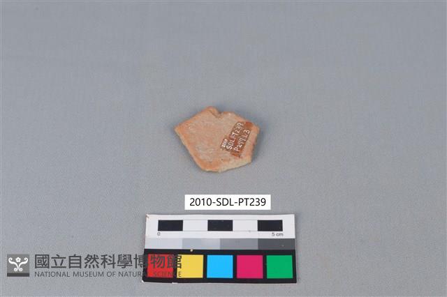 陶片藏品圖，第2張