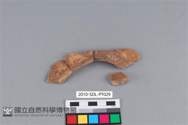 連杯形器藏品圖，第2張