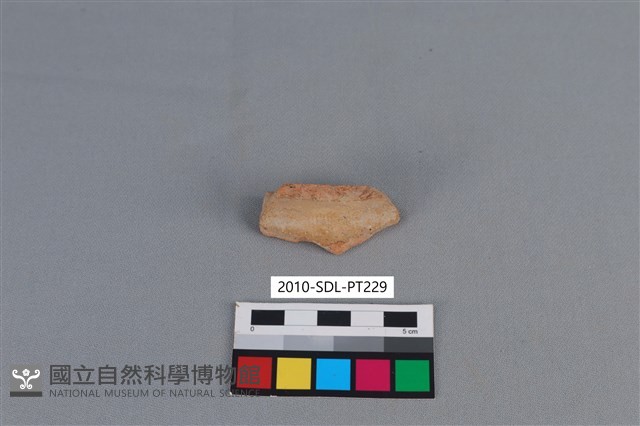 陶片藏品圖，第2張