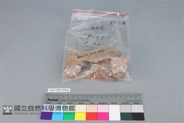 連杯形器藏品圖，第6張