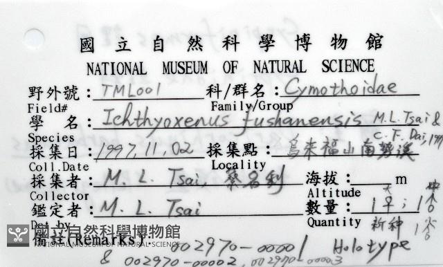 福山魚怪(新種)藏品圖，第5張