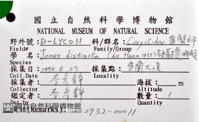 顯著瓊娜蟹藏品圖，第4張