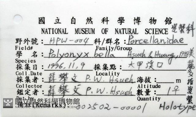 美麗多指瓷蟹藏品圖，第4張