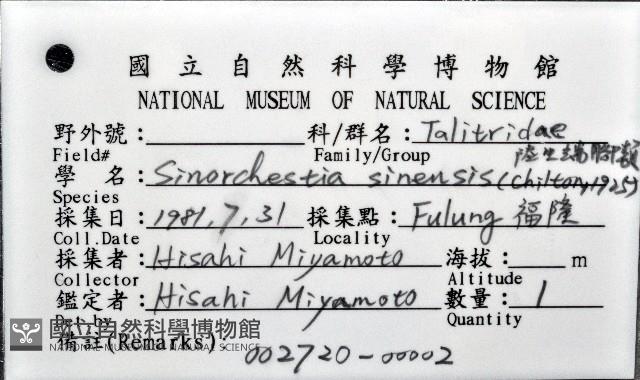 陸生端腳類藏品圖，第4張