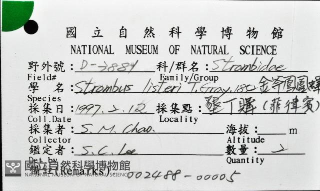 金斧鳳凰螺藏品圖，第16張