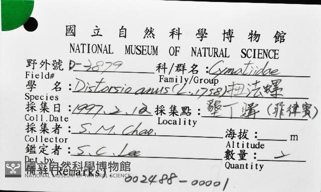 扭法螺藏品圖，第16張