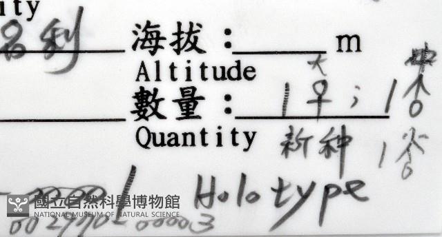 福山魚怪(新種)藏品圖，第6張