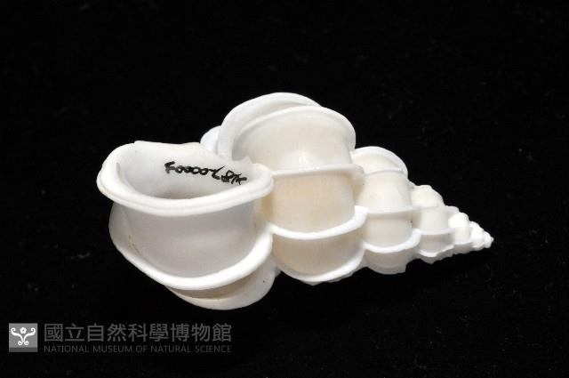 綺螄螺藏品圖，第9張