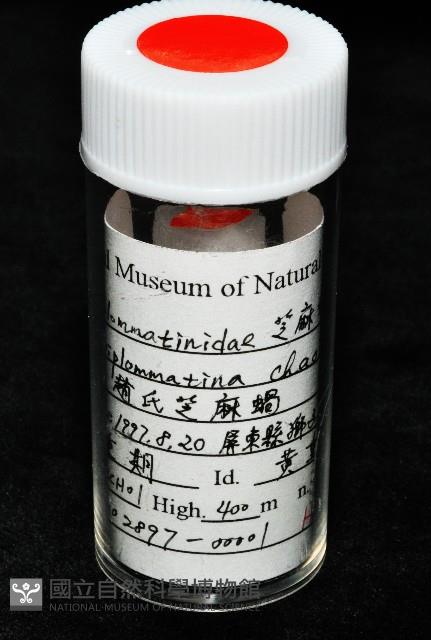 趙氏芝麻蝸藏品圖，第11張