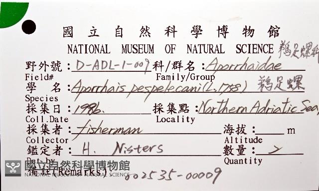 鵜足螺藏品圖，第8張