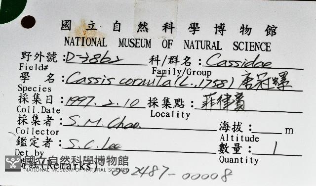 唐冠螺藏品圖，第9張