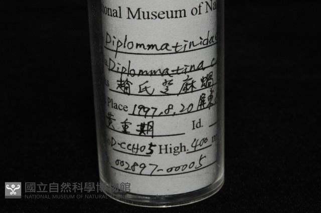 趙氏芝麻蝸藏品圖，第8張