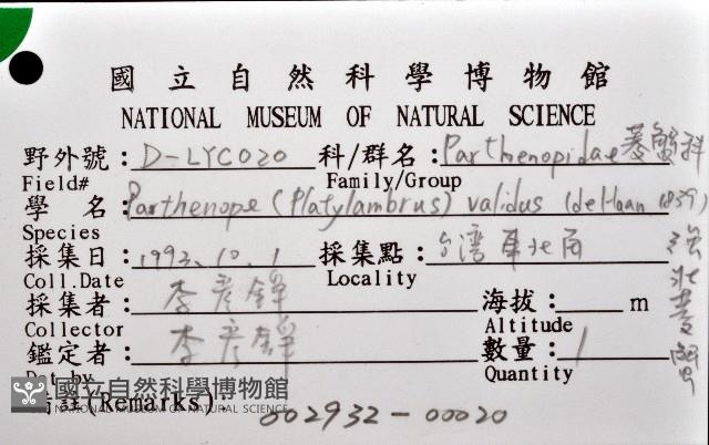 強壯菱蟹藏品圖，第8張