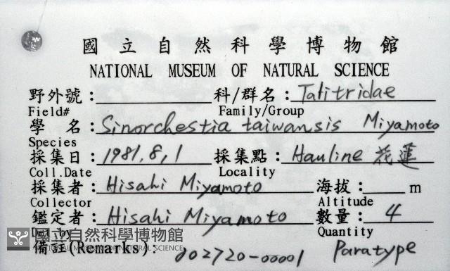 陸生端腳類藏品圖，第8張