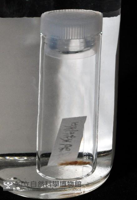 Accession Number:002191-00001 Collection Image, Figure 8, Total 8 Figures