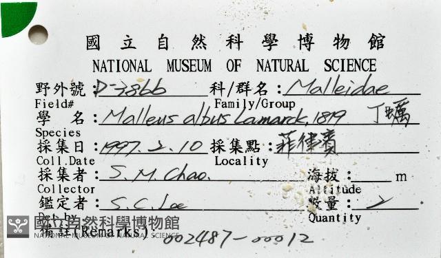 丁蠣藏品圖，第9張