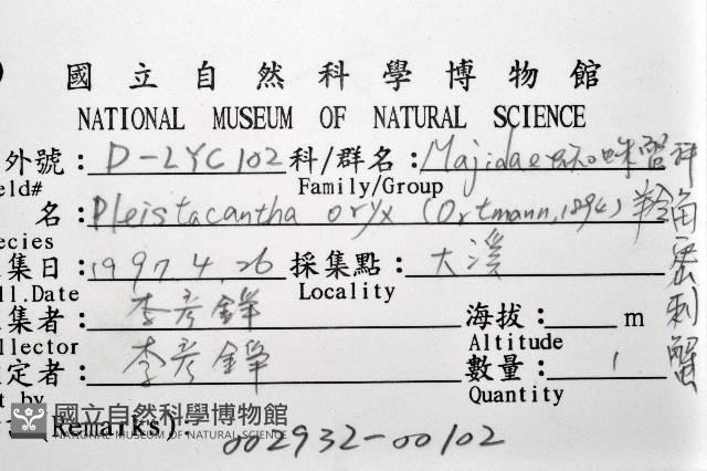 羚角密刺蟹藏品圖，第8張