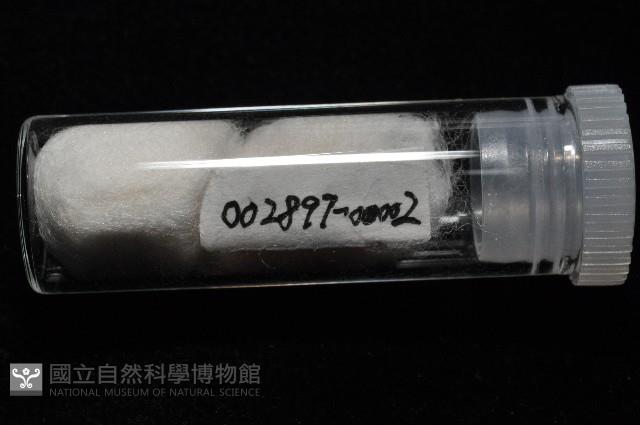 趙氏芝麻蝸藏品圖，第8張