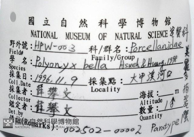 美麗多指瓷蟹藏品圖，第8張
