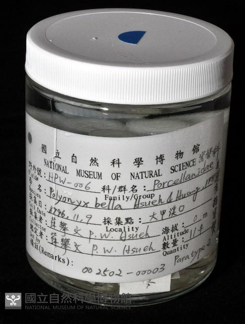 美麗多指瓷蟹藏品圖，第7張