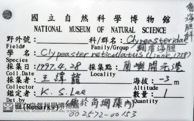 網楯海膽藏品圖，第12張