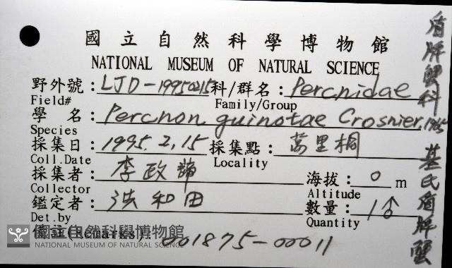基氏盾牌蟹藏品圖，第12張