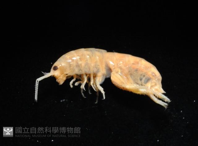 Accession Number:002191-00001 Collection Image, Figure 2, Total 8 Figures