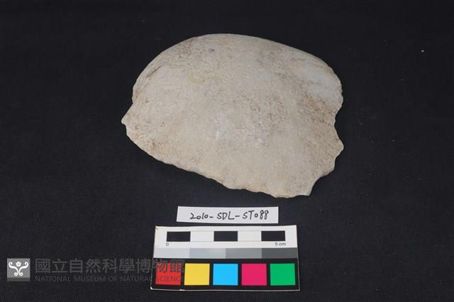 石片器藏品圖，第1張