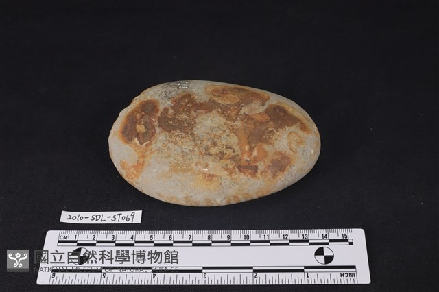 石鎚藏品圖，第1張