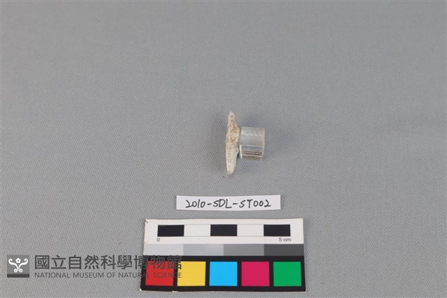 錛鑿形器藏品圖，第1張