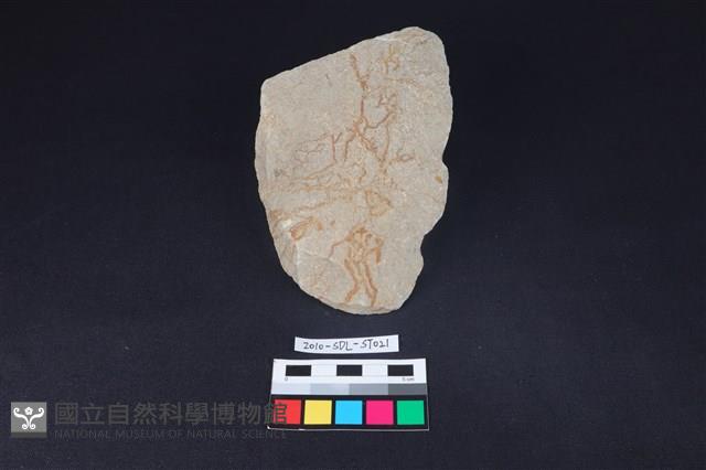 斧鋤形器藏品圖，第2張
