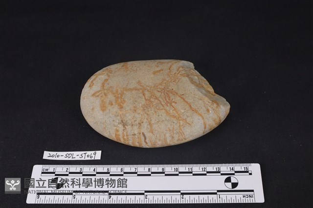 石鎚藏品圖，第2張