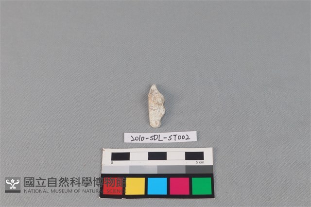 錛鑿形器藏品圖，第2張