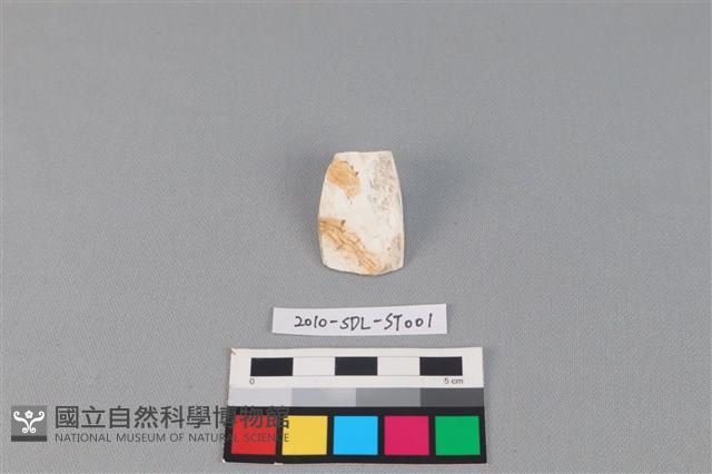 錛鑿形器藏品圖，第2張