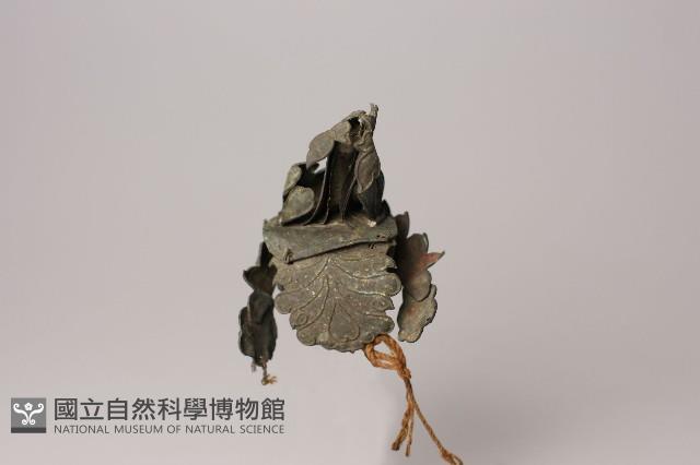 神帽藏品圖，第3張