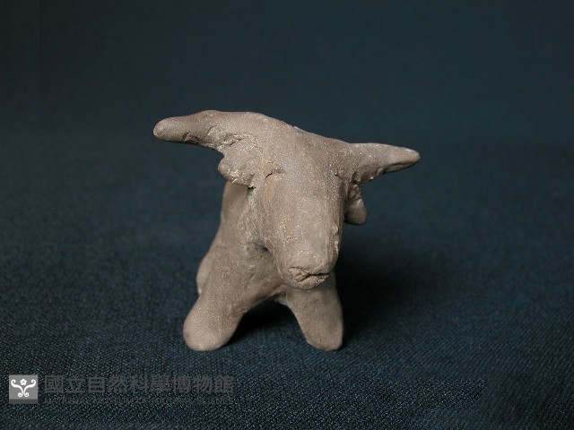 小羊藏品圖，第3張