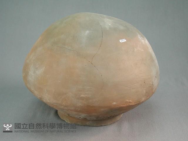 陶鍋藏品圖，第3張